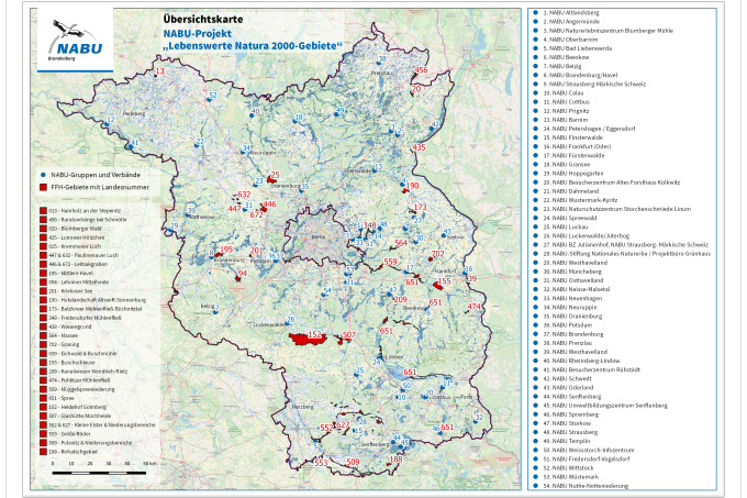 Karte mit FFH-Gebieten des Projekts und NABU-Verbänden und -Gruppen in Brandenburg - Grafik: NABU / David Sánchez Vicente