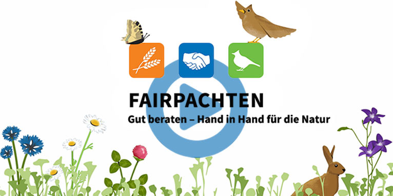 Fairpachten als Erklärfilm © blubb.media GmbH