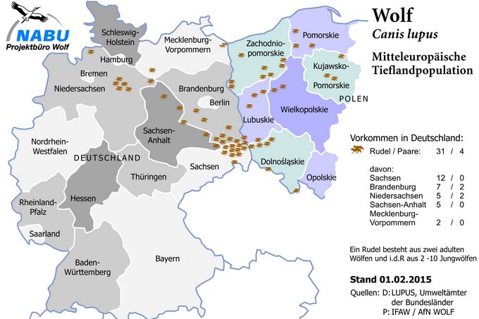 Wolfssichtungen Deutschland Karte