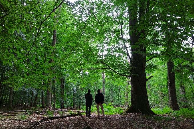 Angeregte Gespräche über Waldschutz im FFH-Gebiet „Hainholz an der Stepenitz“ – Foto: NABU / Laura Klein