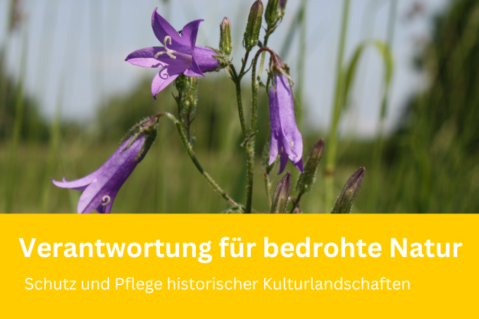 Flyer: Verantwortung für bedrohte Natur - Schutz und Pflege historischer Kulturlandschaften