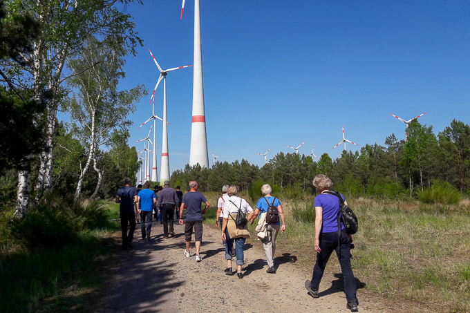 Windpark am Rande des Schutzgebiets „Heidehof-Golmberg“ – Foto: NABU / Laura Klein