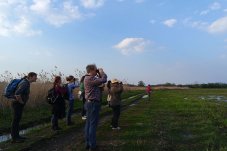 Vogelbeobachtung im FFH-Gebiet „Mittlere Havel“ – Foto: NABU / Laura Klein