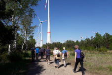 Windpark am Rande des Schutzgebiets „Heidehof-Golmberg“ – Foto: NABU/Laura Klein