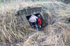 Einstieg in einen weiteren Bunker, der als Fledermausquartier dient – Foto: NABU / Laura Klein