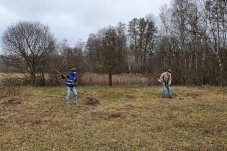 Wiesenmahd im FFH-Gebiet „Brieselang und Bredower Forst“ – Foto: NABU / Laura Klein