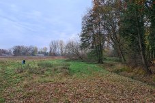 Wiesen im Naturschutz- und FFH-Gebiet „Fredersdorfer Mühlenfließ“ –  Foto: NABU / Laura Klein