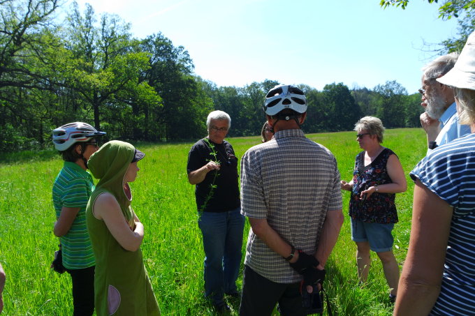 Botaniker Peter Engert stellt das Kletten-Labkraut (<i>Galium aparine</i>) vor, bei der botanischen Rad-Wanderung in den FFH-Gebieten „Spree“ und „Müggelspreeniederung“ – Foto: NABU / Laura Klein