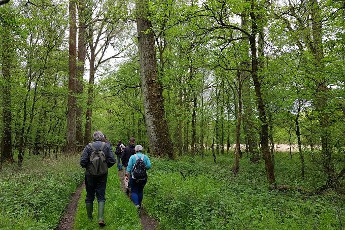 Wanderung im FFH-Gebiet „Eichwald und Buschmühle“– Foto: NABU / Laura Klein