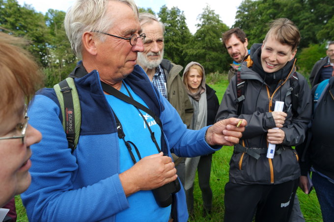 Dr. Hartmut Kretschmer, NABU Neuenhagen, zeigt eine Sumpfschrecke im FFH-Gebiet „Wiesengrund“ – Foto: NABU / Laura Klein