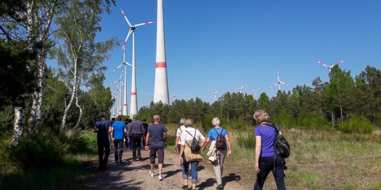 Windpark am Rande des Schutzgebiets „Heidehof-Golmberg“ – Foto: NABU / Laura Klein