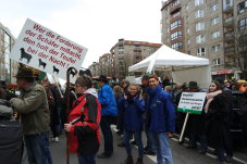 Demo mit Schäfern vor dem Landwirtschaftsministerium - Foto: Laura Klein