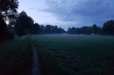 Im Morgengrauen um 5 Uhr bei der Vogelstimmenführung im FFH-Gebiet „Fredersdorfer Mühlenfließ“ – Foto: NABU / Laura Klein