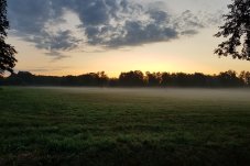 Die Morgensonne zeigt sich im FFH-Gebiet „Fredersdorfer Mühlenfließ“ – Foto: NABU / Laura Klein