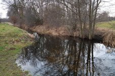 Angestiegener Wasserstand im Fredersdorfer Mühlenfließ im Februar 2020 – Foto: NABU / Laura Klein