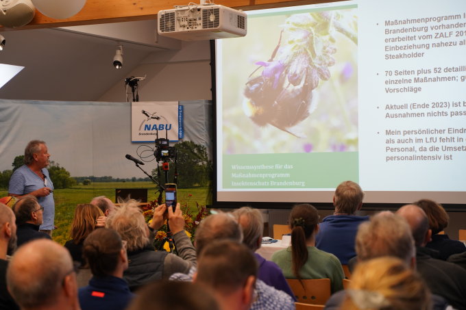 Dr. Jörg Gelbrecht fordert, dass das vom Ministerium mit vielen Stakeholdern erarbeitete Maßnahmenprogramm zum Insektenschutz endlich umgesetzt wird. - Foto: M. Ebersbach