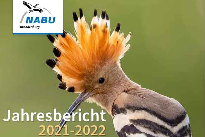 Jahrersbericht 2021-2022