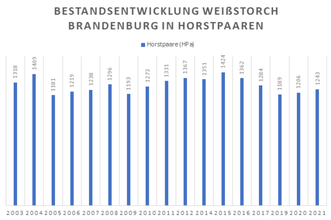 Bestandentwicklung der Weißstörche in Brandenburg, Grafik: Sarah Diering