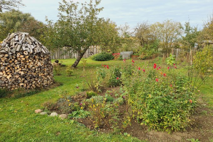 Ein insektenfreundlich gestalteter Garten
