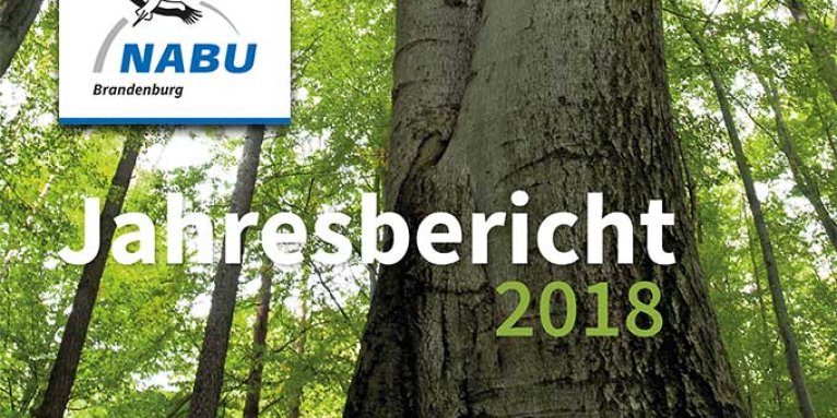 NABU Brandenburg - Jahresbericht 2018