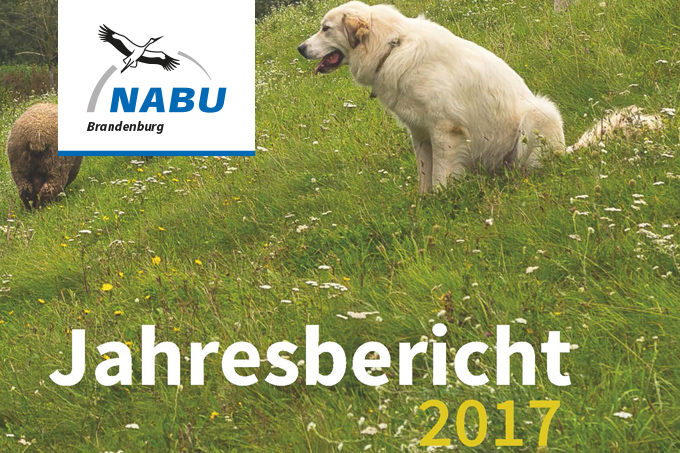 Jahresbericht 2017 des NABU Brandenburg