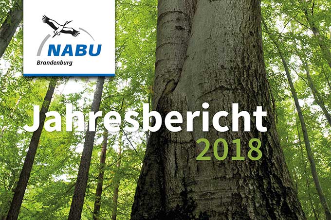 NABU Brandenburg - Jahresbericht 2019