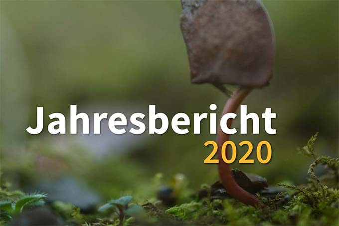 NABU Brandenburg Jahresbericht Titel 2020 