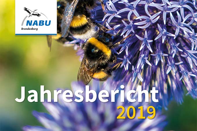 NABU Brandenburg - Jahresbericht 2019